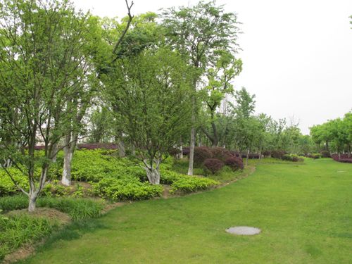 中文名 植物群落学