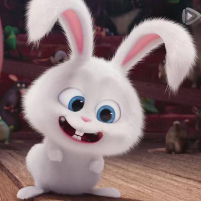 爱宠机密兔子头像高清图片 小白卖萌图