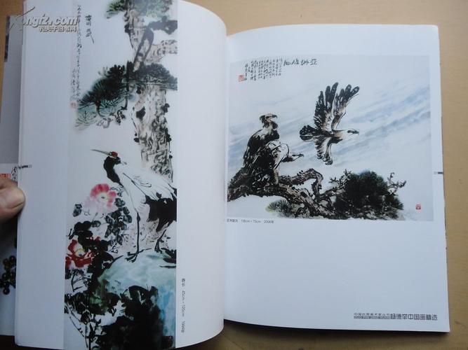 16开 云南民族画院理事兼特约画家《中国优秀美术家丛书杨德举》内有