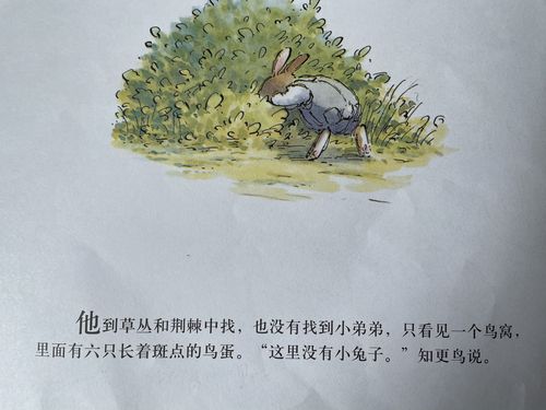 绘本故事《春天的兔子》