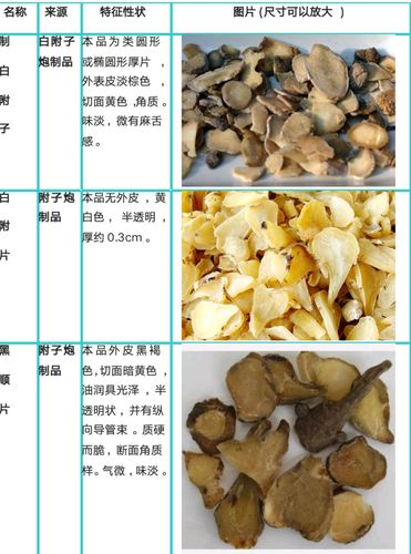 如何区分白附子,白附片和附子
