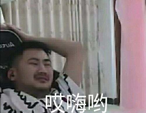 " "wdnmd真敢冲啊" give me zhu give me zhu 因为真实打动了我,我傻