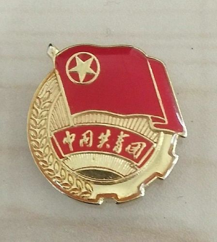 第四项:颁发团证,佩戴团徽,早已备好的团徽,也只能以照片的形式颁发给