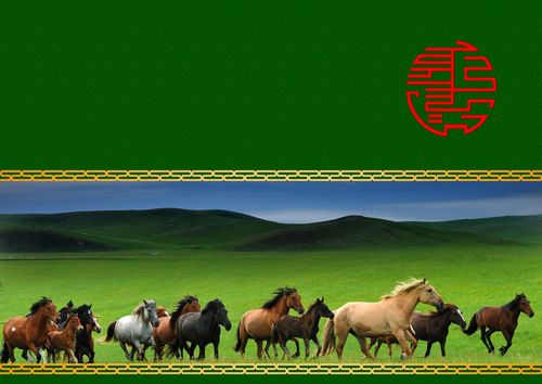 蒙古元素请柬原创设计04