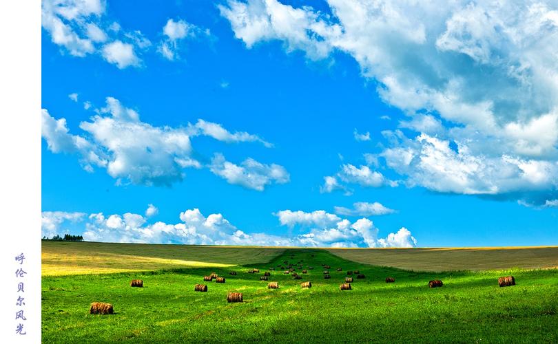 呼伦贝尔风光