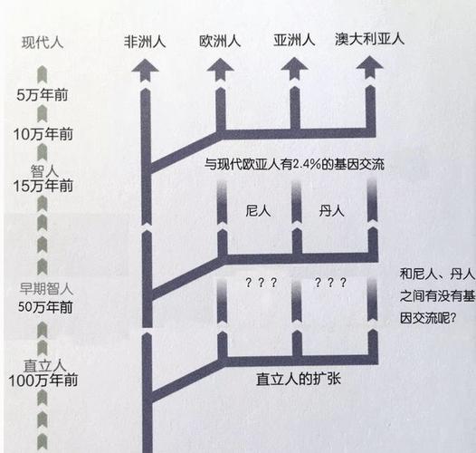 原创真实版小矮人俾格米人8岁结婚生子曾被当伟哥贩卖