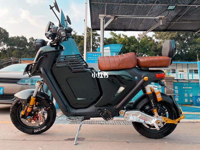 小牛电动车丨改色咯～_电动车_复古_小牛电动车_汽车