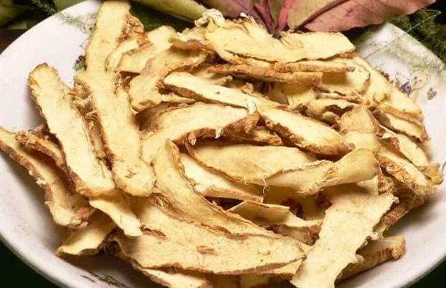 知母的功效与作用知母的用法和用量