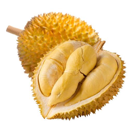 泰国金枕榴莲大果单果现摘现发特产带壳榴莲金枕榴莲 2-3斤果