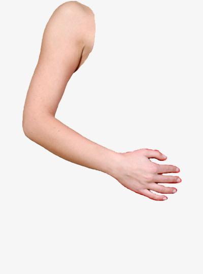 arm design, arm clipart, arm, finger png image and clipart