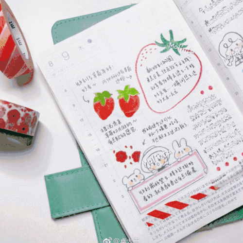 what"s in my notebook | 听说你想新学期过得充实又有趣?