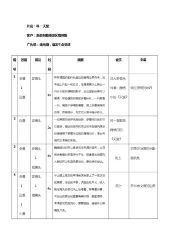 影视广告分镜头脚本模板.doc 6页