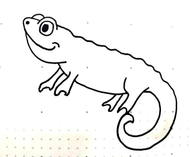 【简笔画示范】六步画一只呆萌的蜥蜴