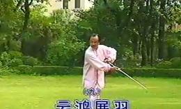 朱俊昌抒怀剑《一剪梅》教学