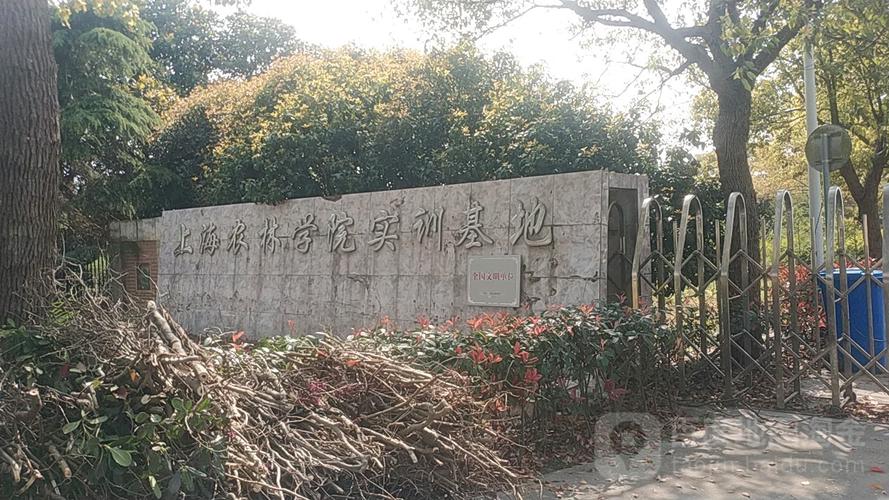 地址(位置,怎么去,怎么走):  浦东新区书院镇老芦公路918号