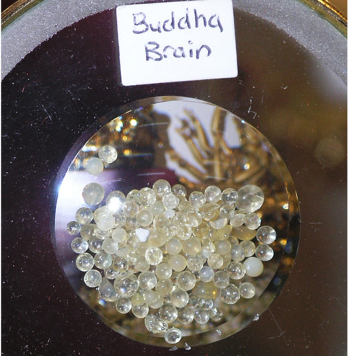 世上真有舍利子吗?