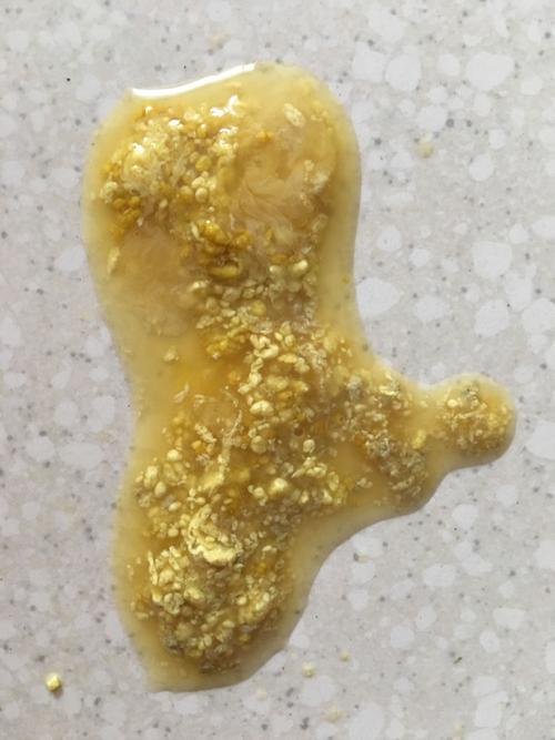 排除一下是不是病毒感染,因为细小病毒的初期症状就是会呕吐,腹泻