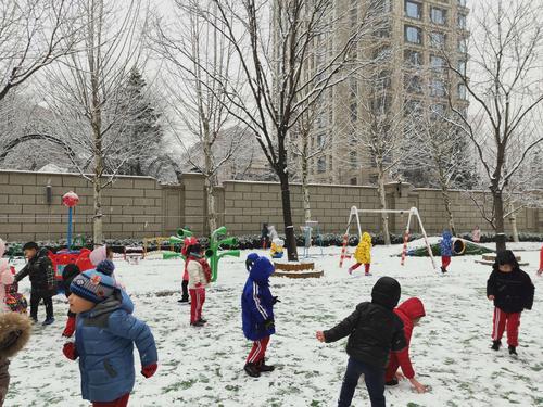 银装素裹的世界里奔跑,幼儿园里充满欢声笑语,雪地成了孩子们拥抱冬天