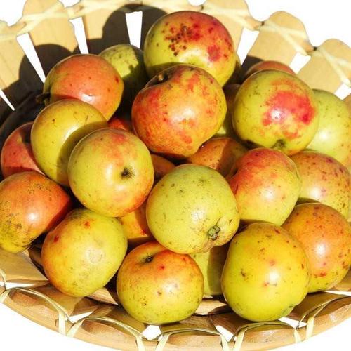 多依果云南特产2斤云南特产水果多依果新鲜酸多依果野生果孕妇水