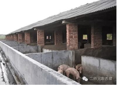农村猪舍普遍存在的几大隐患!都急需改正