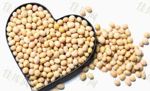 黄豆 爱心        