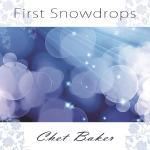 《first snowdrops》