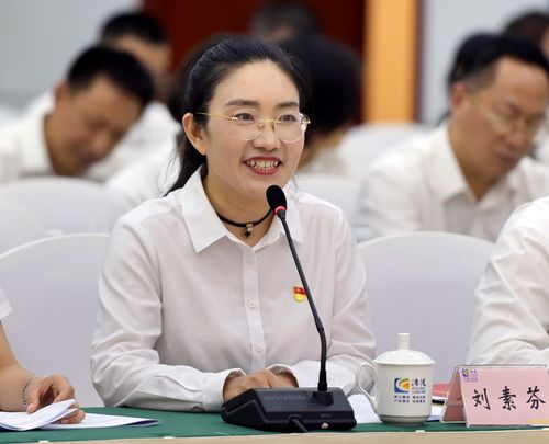 刘素芬发言 记者 朱志强 摄