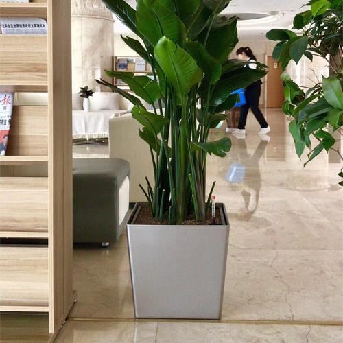 方形花盆 四方_北欧方形花盆 塑料烤漆四方落地大花盆客厅自动吸水