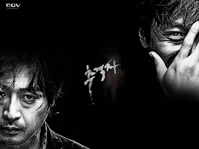 暑期电影推荐---《追击者》