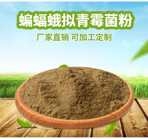 蝙蝠蛾拟青霉菌粉 10%含量发酵虫草菌丝粉 cs-4 横岭制品