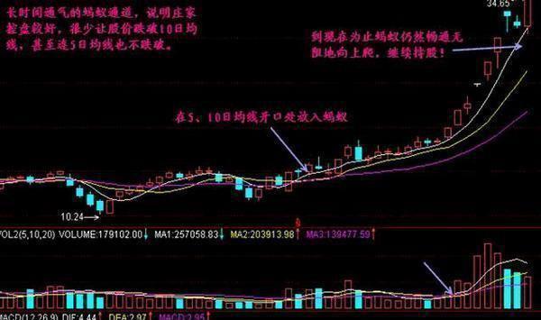 中国股市蚂蚁上树意味着什么