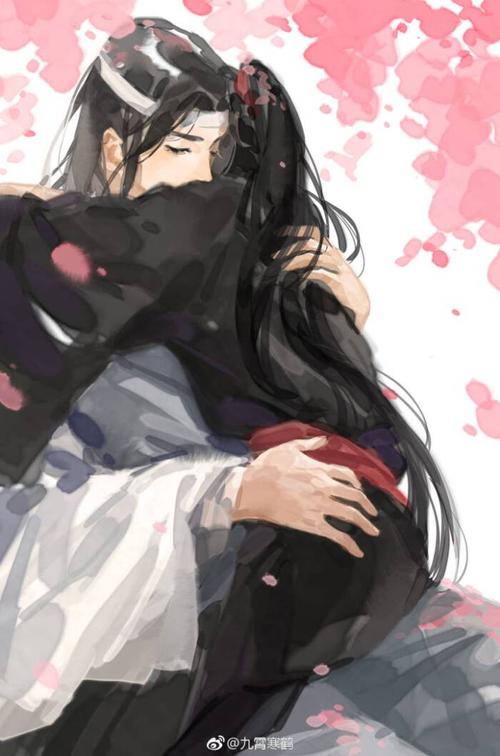 魏无羡蓝忘机