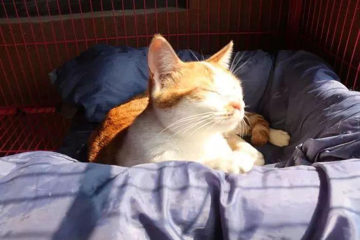 比晒太阳更温暖的是带着媳妇儿晒太阳