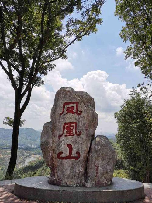 凤凰山森林公园-"我们本意是到凤凰山爬山的,但看到龙洞水库.