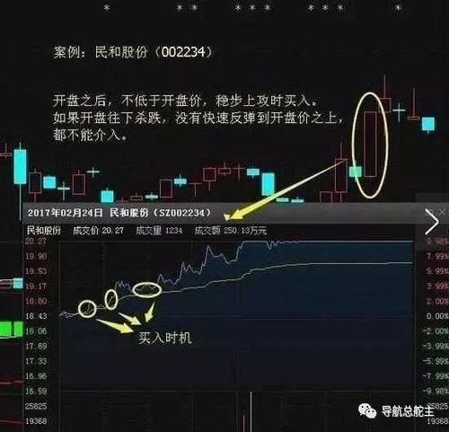 集合竞价抓涨停实战案例: 案例:民和股份.
