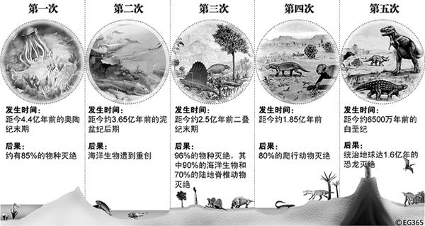 另一场地球生物大灭绝的到来