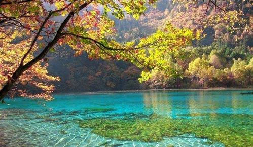 九寨沟秋景