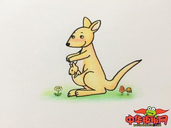 袋鼠怎么画简单又漂亮,可爱袋鼠简笔画图片