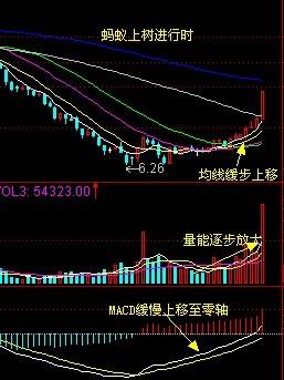短线是银蚂蚁上树