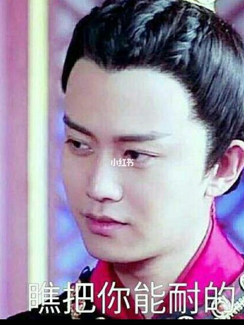 嘉伦我真的不是黑粉,真的989898_表情包_任嘉伦