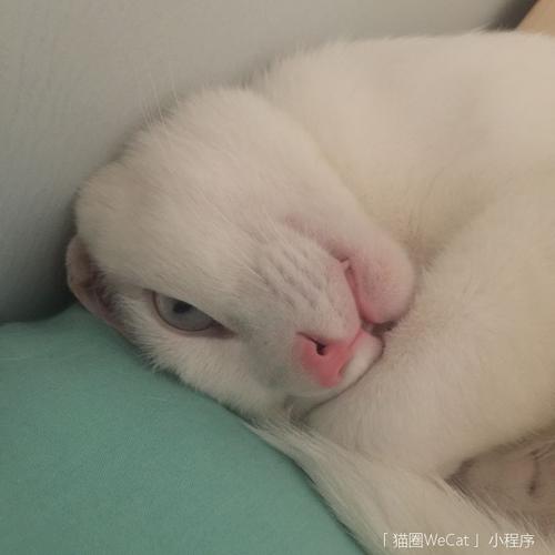 宾利:这个非主流,半睡半醒半哭泣,哈哈哈