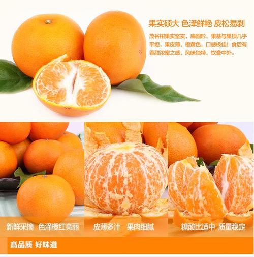 源兴 埃及进口茂谷柑 12颗4斤