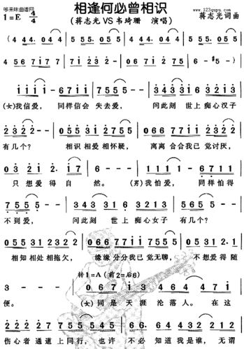 相逢何必曾相识-蒋志光,韦琦珊简谱