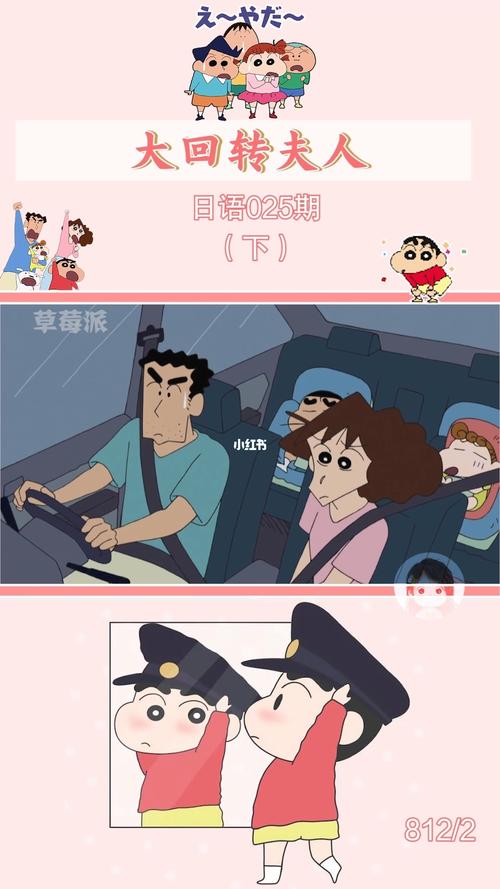 【蜡笔小新新番25】大回转夫人3