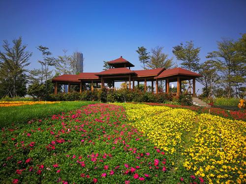 厦门最大的花海聚集地～园博苑