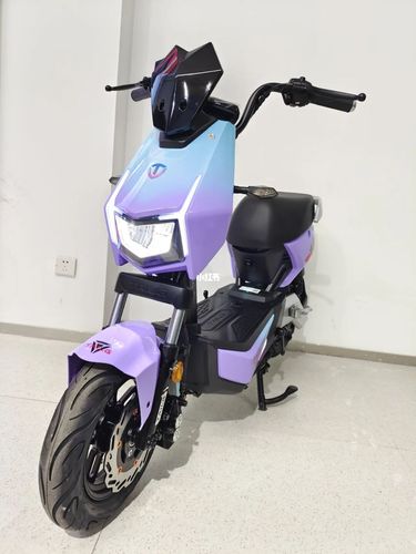 台铃xt1电动车 配48伏24安锂电 长跑王_电动车_设计_时尚_黄埔区攻略