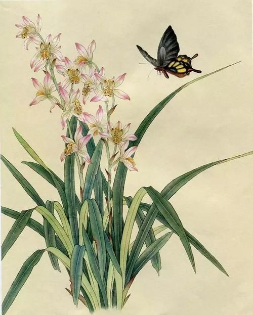 国画兰花蝴蝶绘画教程