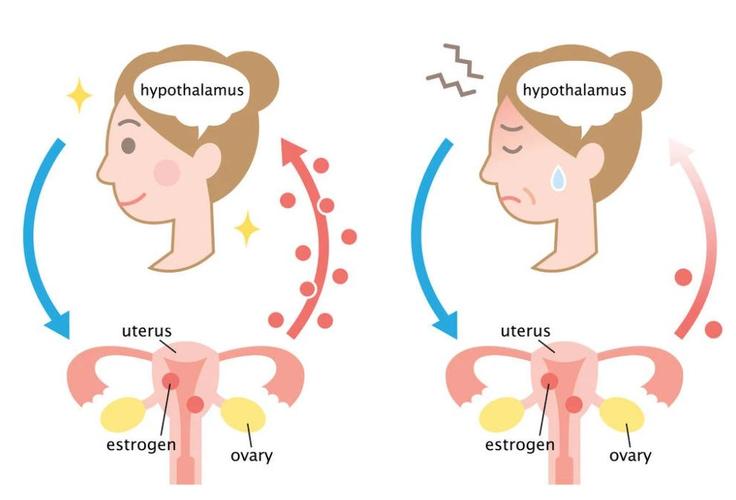 雌性激素缺乏一身体不会骗你