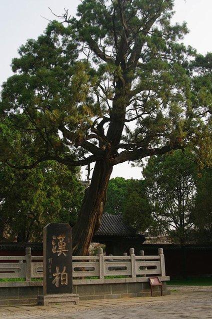 会当一览五岳尊——泰山游记