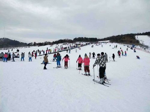 个9000开头的16位电子短信,凭此短信到威海山泰滑雪场售票处验证消费